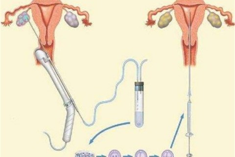 为什么宝宝一不开心就打自己？应该如何解决？