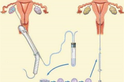 宝宝与电视该亲近还是疏远