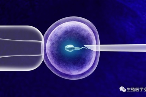 科学备孕第一步，想生一个健康宝宝这些备孕知识得了解！