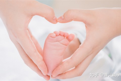 聪明宝宝孕育提案